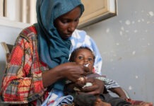 Sudan: UN Agencies Urge Immediate Action United Nations agencies