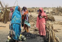 RSF Accused Of Killing 2,000+ Civilians In El Fasher