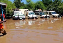 Sudan: The Nile’s Rising Water Levels Affecting Towns Nile - Sudan Flooding