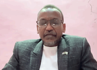 Tasis: Mass Murder Is Fake News! Alaa El-Din Nugud - Al-Fashir Massacre