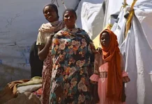 Thousands Flee RSF Attacks In Kordofan Kordofan Drone Attack