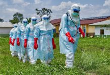 Another Ten Countries At Risk Of Ebola Epidemic Ebola Epidemic