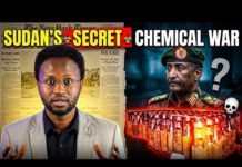 Exposed: Sudanese Armys Use Chemical Weapons Chemical Weapons - Sudan